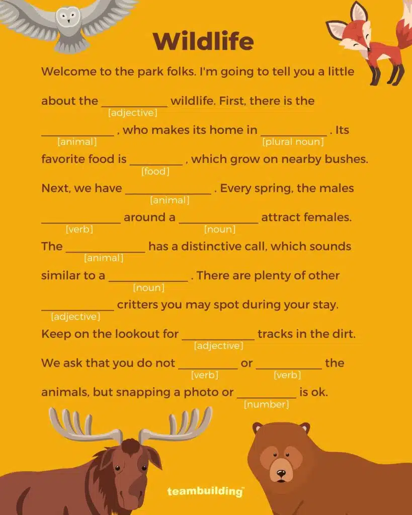 Campfire Mad libs3