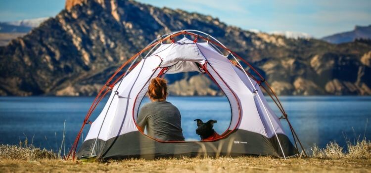 Best tents for camping with dogs