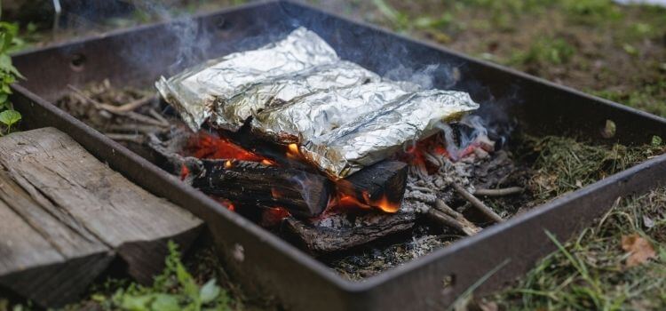 Delicious Campfire Recipes